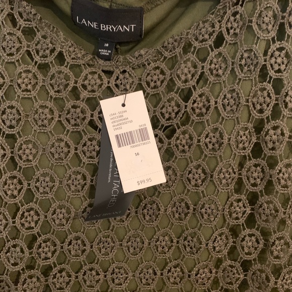 Lane Bryant Green Lace Dress Size 16 - Picture 4 of 6